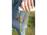 Weedy prop - one of the hazards of miniature model boating!